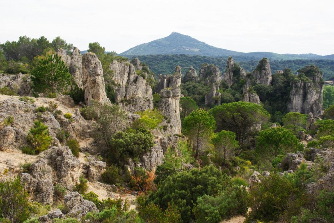 "Belle Etape"-Meuble De Tourisme 3 Etoiles -Residence "Les Logis De Beziers"-Garage Optionnel-Coeur De Ville-Plages A 16Km ! Экстерьер фото