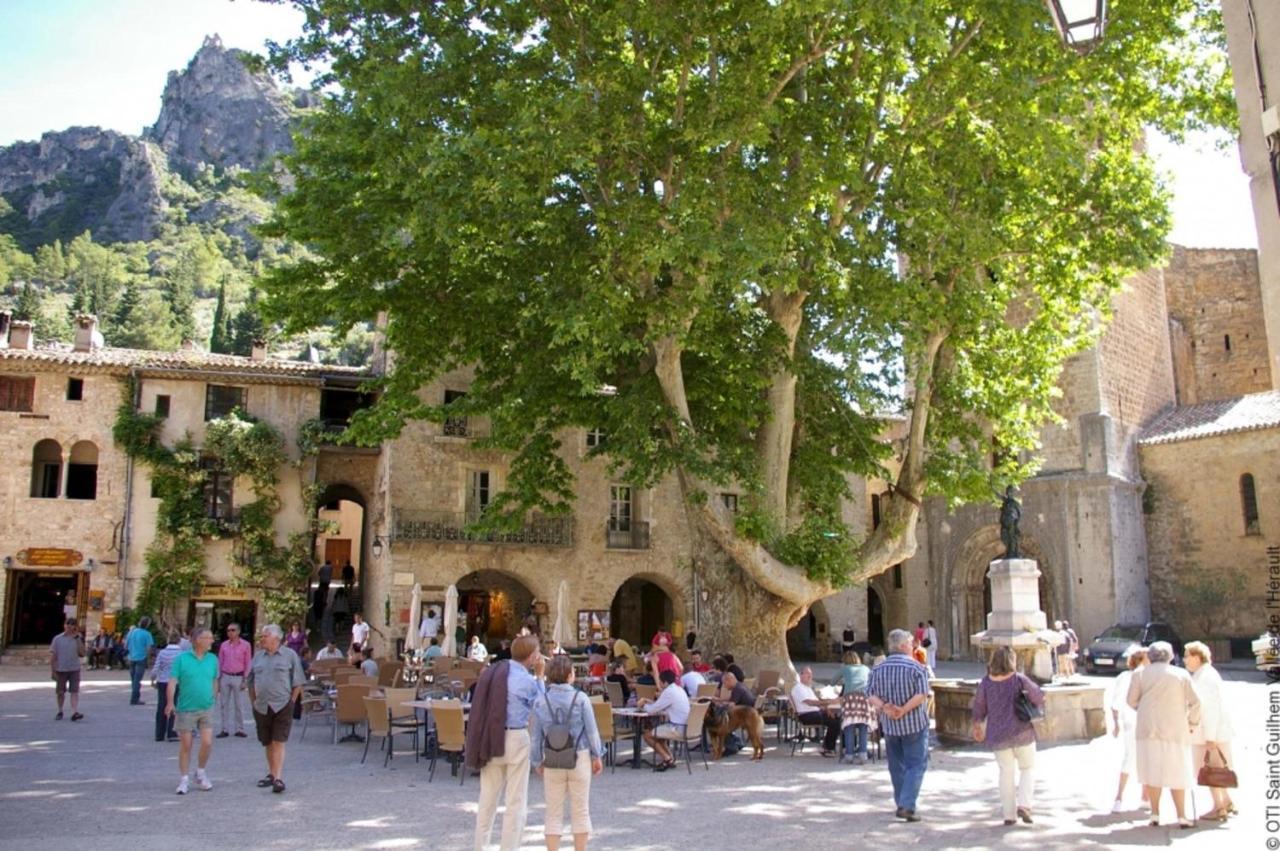 "Belle Etape"-Meuble De Tourisme 3 Etoiles -Residence "Les Logis De Beziers"-Garage Optionnel-Coeur De Ville-Plages A 16Km ! Экстерьер фото
